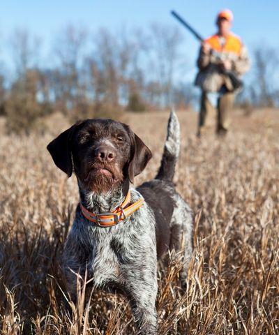 hunter-9 hunter-9