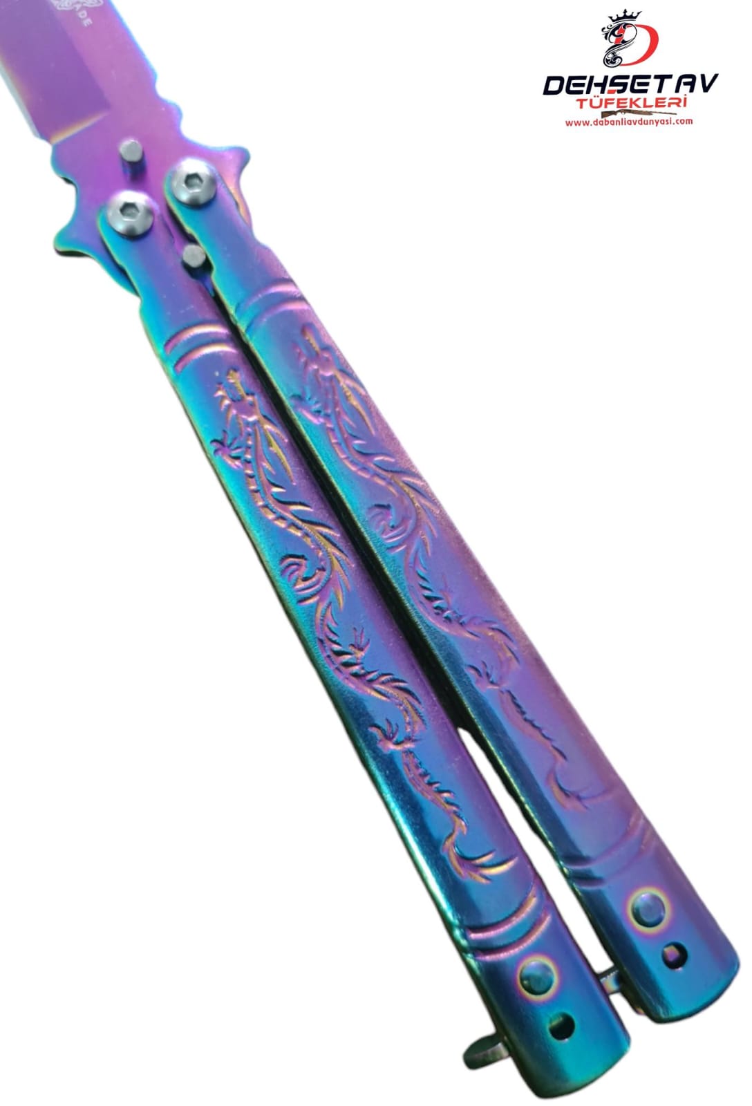 GÖKKUŞA KELEBEK - Görsel 3