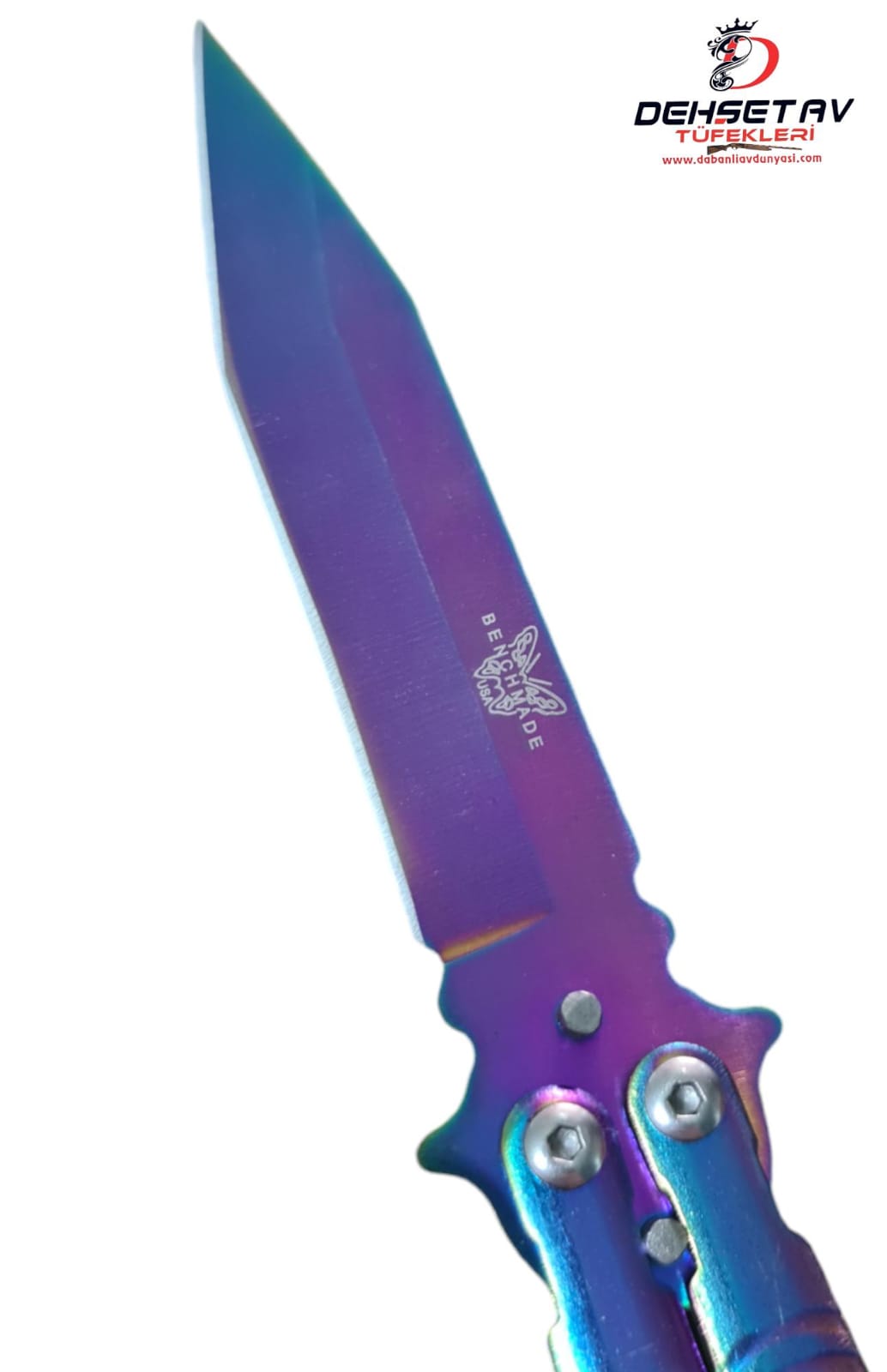 GÖKKUŞA KELEBEK - Görsel 2