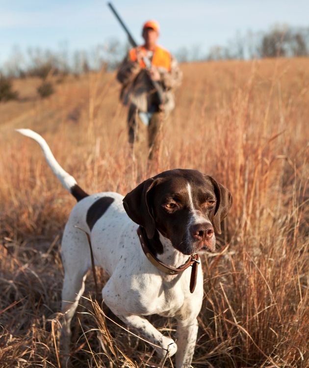 hunter-4